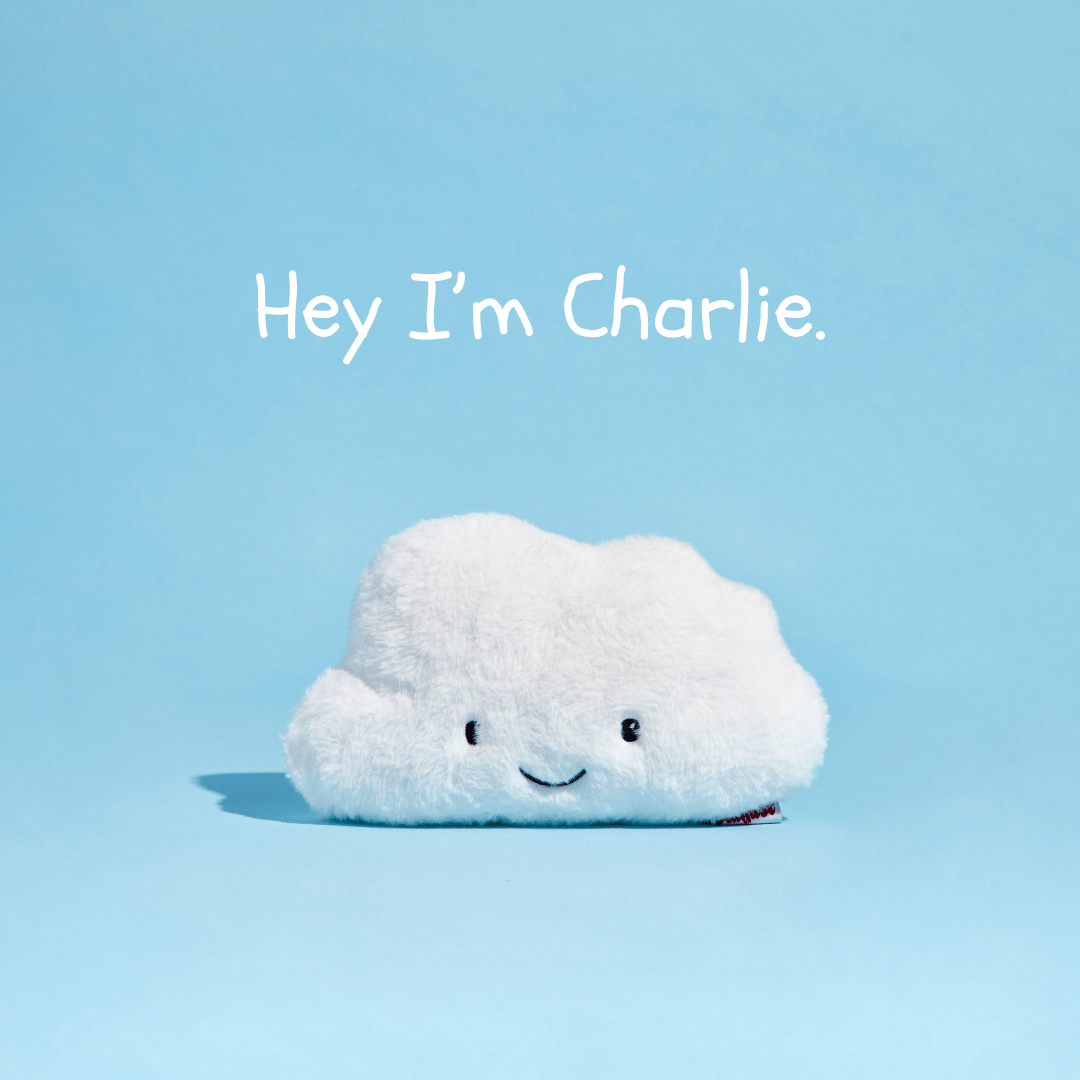 Charlie the Cloud: Reusable Heating Pad