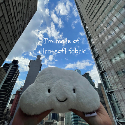 Charlie the Cloud: Reusable Heating Pad